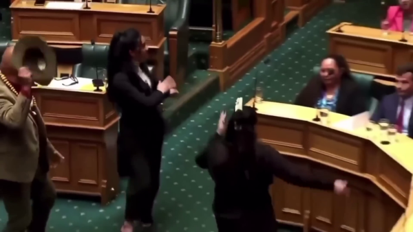New Zealands Parliament Became a Viral Laughingstock